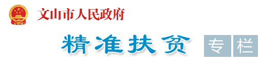 28365356��������